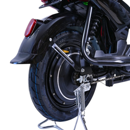 Verdeto - Električni bicikl velikog dometa