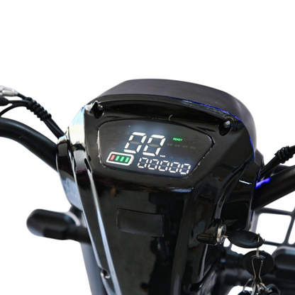 Verdeto - Električni bicikl velikog dometa