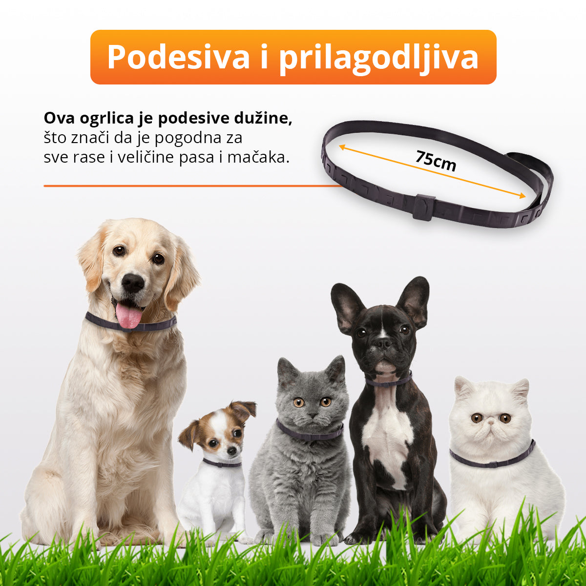 KantickPlus - Ogrlica za pse i mačke protiv buva i krpelja
