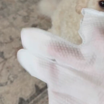 PetWipes - Vlažne rukavice za negu ljubimaca (6 komada)